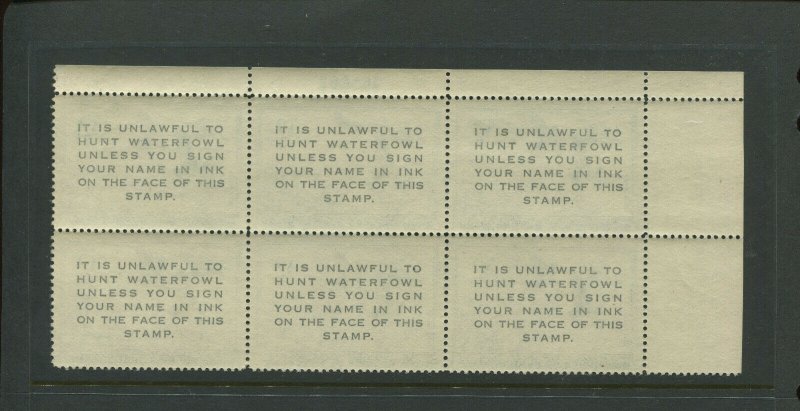Scott RW22 Federal Duck Mint Plate Block of 6 Stamps  NH (Stock RW22-pb3)