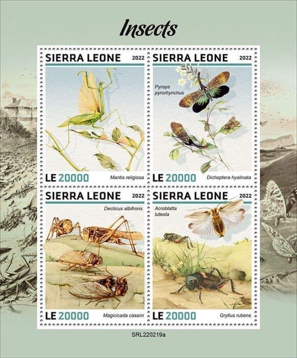 SIERRA LEONE - 2022 - Insects - Perf 4v Sheet - Mint Never Hinged