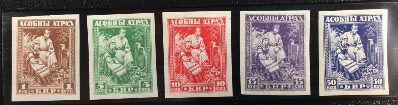Belarus National Republic (BNR) White Russia 1920 Issues (Mint NH Unperforated))