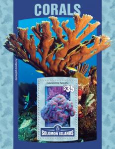 SOLOMON ISLANDS 2016 SHEET CORALS MARINE LIFE slm16104b