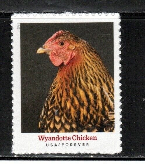 5584 * WYANDOTTE CHICKEN *   U.S. Postage Stamp MNH