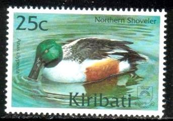 Duck, Northern Shoveler, Kiribati stamp SC#775 MNH