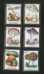 BULGARIA-MNH** SET-FLORA-MUSHROOMS-1991.