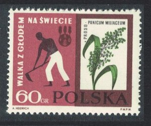 Poland Freedom from Hunger Millet and hoeing Key value 1963 MNH SC#1113 SG#1359