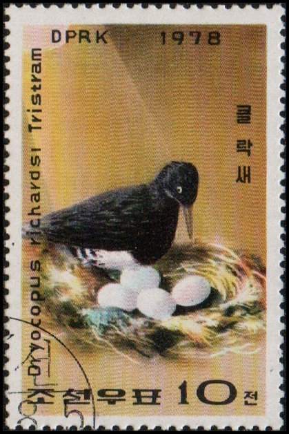 North Korea 1752 - Cto - 10ch Tristram's Woodpecker (1978)