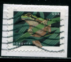 5398 US (55c) Frogs - Squirrel Tree Frog SA, used on paper