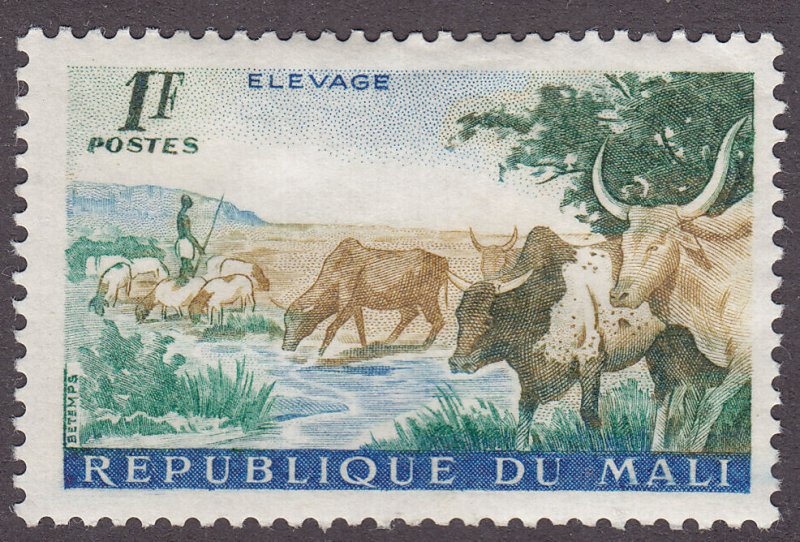 Mali 17 Shepherd and Cattle 1961