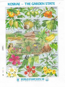 Micronesia #103   Fruits & Flowers  sheet of 18  (MNH) CV$9.00
