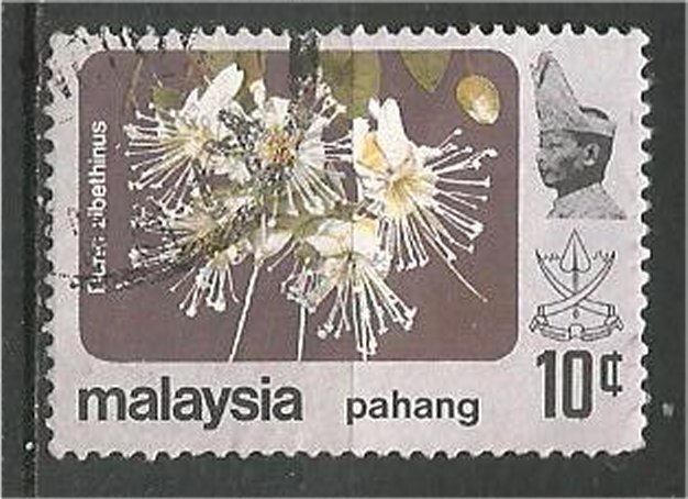 PAHANG, 1979, used 10c, Flower Scott 108