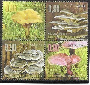 2016    BOSNIA  -  MEDICINAL MUSHROOMS   -   UMM