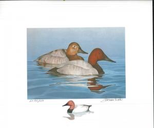 NEW JERSEY  #1 1984  DUCK  STAMP PRINT  CANVASBACKS EXECUTIVE ED