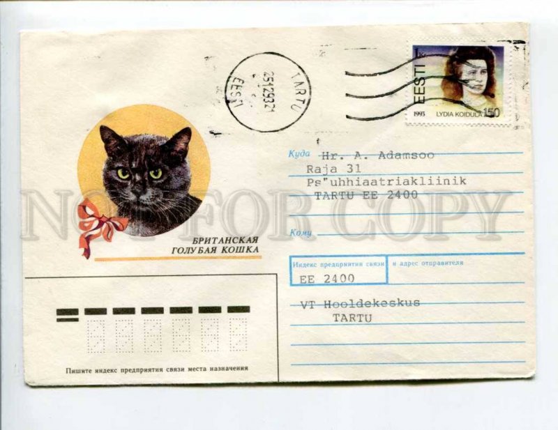 413115 ESTONIA 1993 year Usova British blue cat real posted Tartu cover