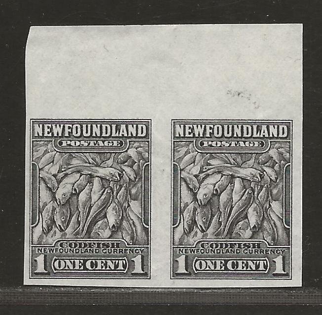 NEWFOUNDLAND  SC# 253a   IMPERF PAIR  VF/MNG