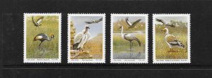 BIRDS - SOUTH AFRICA-TRANSKEI #255-258  MNH