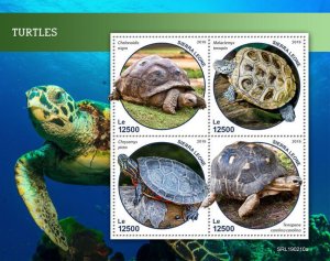 Sierra Leone 2019 MNH Turtles Stamps Reptiles Galapagos Giant Tortoises 4v M/S