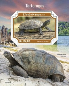 Sao Tome & Principe 2021 MNH Turtles Stamps D'Orbigny's Slider Turtle 1v S/S