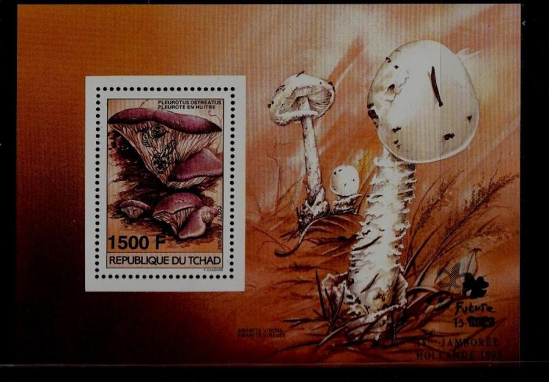 Chad 653 MNH s/s Mushrooms SCV6.50