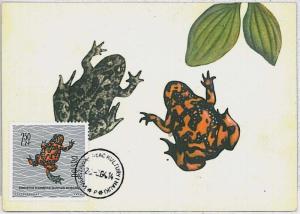 MAXIMU CARD - Fauna FROG Amphibians : POLAND 1964  #6