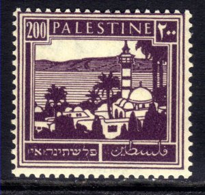 Palestine 1927 - 45 KGV 200m Sea of Galilee Umm SG 103 ( M1112 )
