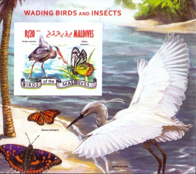 Maldives IMPERF. 2014 Wading Birds Butterfly Fish Mint Souvenir Sheet S/S (#01)