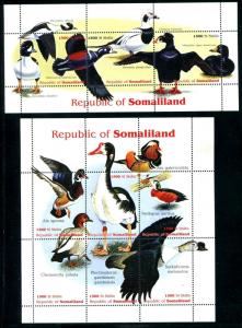 Somaliland cindarella MNH Birds Ducks. x11592