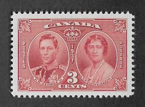 237,MNH