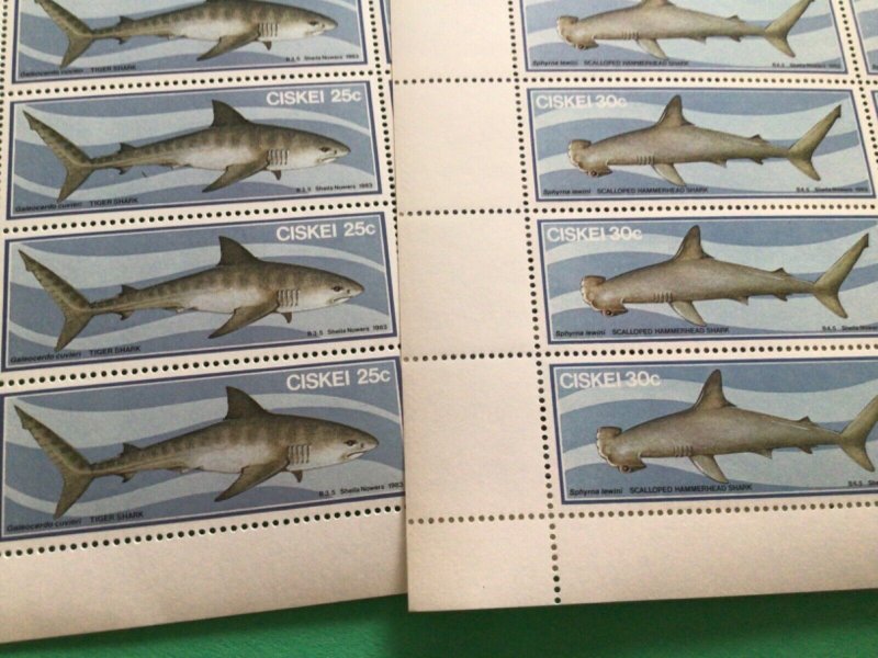 Tiger shark & Hammerhead shark Ciskei mint never hinged stamps A10922