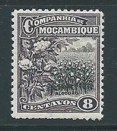 Mozambique Company 125 8c Cotton Field single MLH