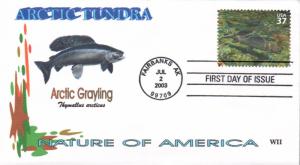 #3802i Arctic Grayling WII FDC