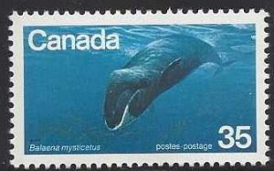 CANADA  814  ENDANGERED WILDLIFE  35¢  SINGLE  MNH  SHERWOOD STAMP