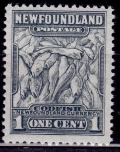 Newfoundland, 1932-37, Codfish, 1c, Scott# 184, MNH
