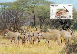 Eritrea 1996 Maxicard Sc #261a 3b Beisa oryx WWF