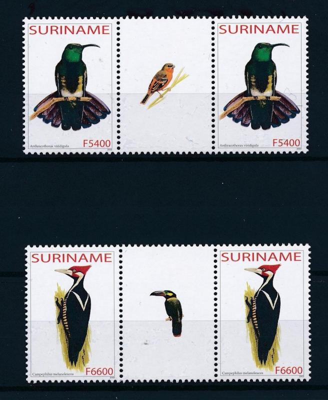 [61035] Surinam 2003 Birds Vögel Oiseaux Set in 2 Gutter pairs MNH 8294420015