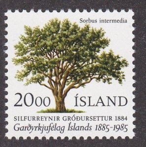 Iceland # 608, Tree, Mint NH, 1/2 Cat.