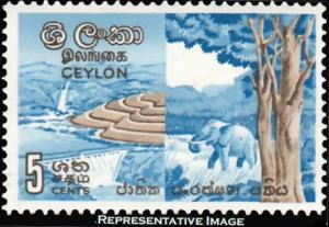 Ceylon Scott 370 Mint never hinged.