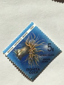 Russia–1991–Single “Marine Life” stamp–SC# 5955 - MNH