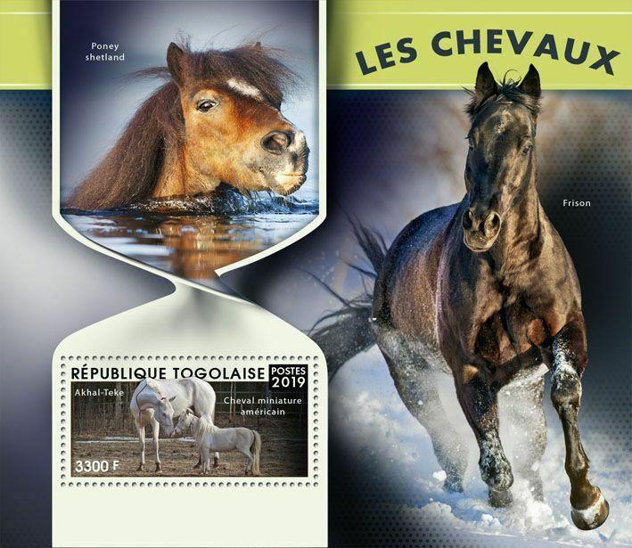 Z08 TG190116b TOGO 2019 Horses MNH ** Postfrisch