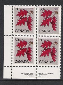 Canada PL BL Red Oak 30