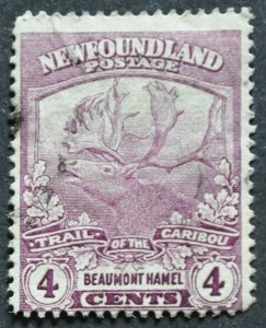DYNAMITE Stamps: Newfoundland Scott #118 – USED