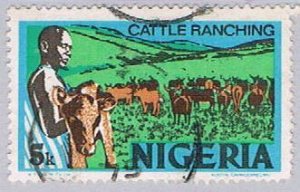 Nigeria Cattle (NP34R702)
