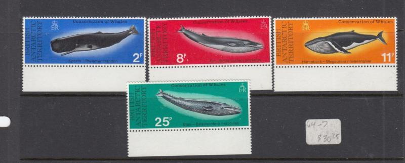 British Antarctic Territory # 64-67 MNH Whales cat value $30+