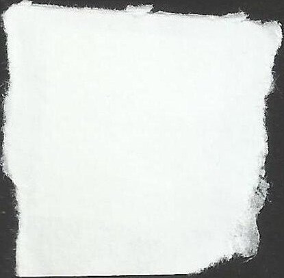 # 5201 Used Strawberries