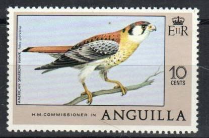 Anguilla Stamp 281  - American Sparrow Hawk