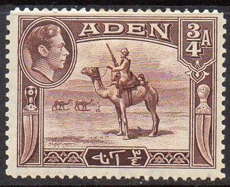 Aden 1939	¾a Camel Corps MH