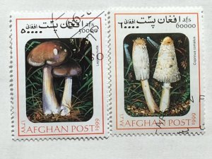 Afghanistan–1999–2 of 6 Stamp set of “Mushroom” stamps–SC# Unknown - CTO