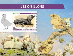 Central Africa - 2023 Baby Birds, Gannet - Stamp Souvenir Sheet - CA230311b