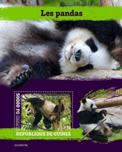 Guinea - 2019 Giant Panda Bears - Stamp Souvenir Sheet - GU190415b