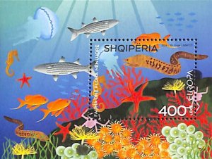 Albania 2024, Europa, marine life s/s, MNH