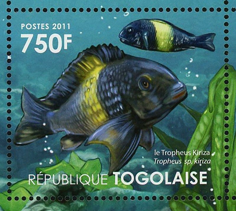 Ecosystem Tanganyika Lake Stamp Fish Tropheus Neolamprologus S/S MNH #4181-4184 