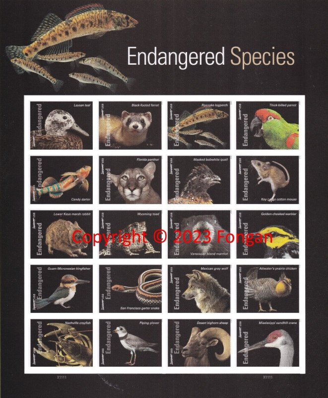 US 5800u Endangered Species imperf NDC sheet (20 stamps) MNH 2023 